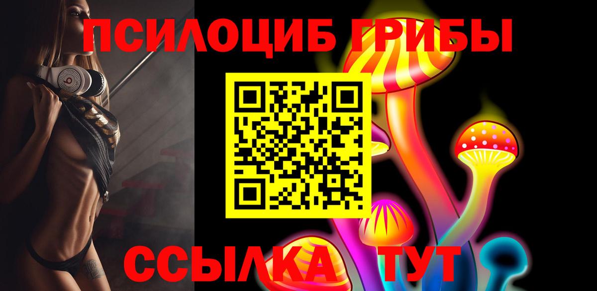 Галлюциногенные грибы прущие грибы Сланцы